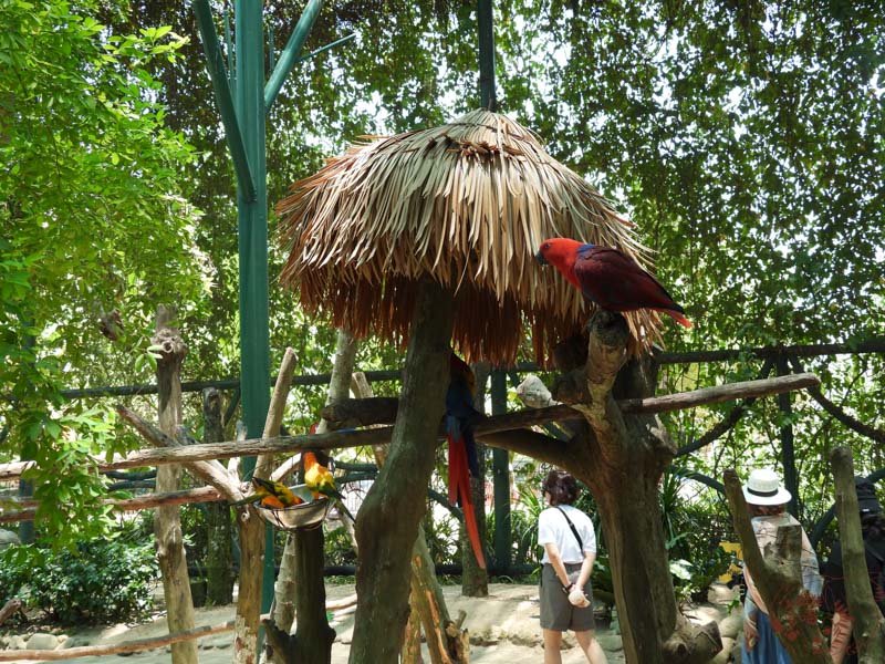 會安珍珠島樂園