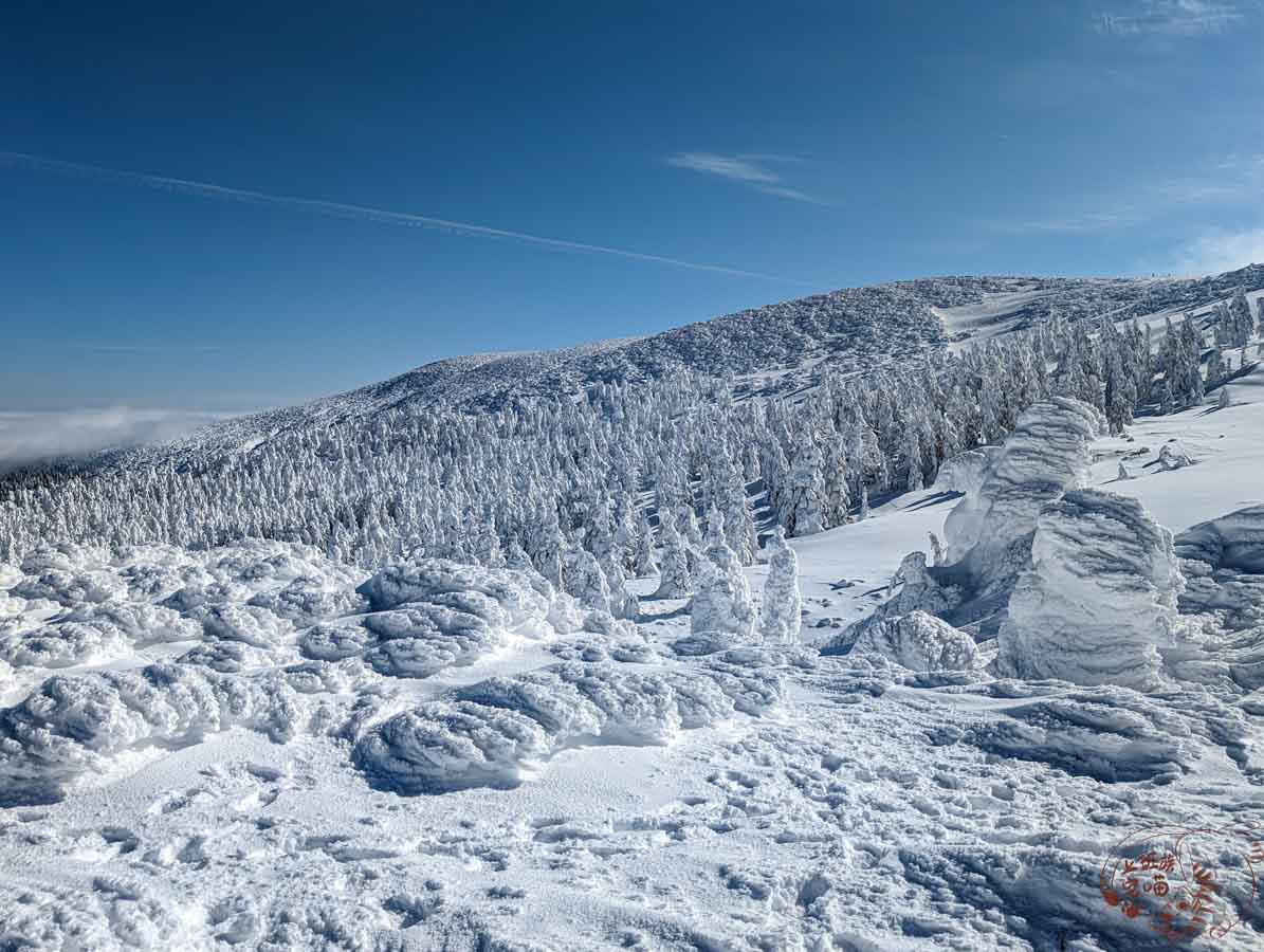 【日本景點】藏王樹冰｜結滿霜雪的美麗雪怪，走入冰雪世界一窺山形奇景