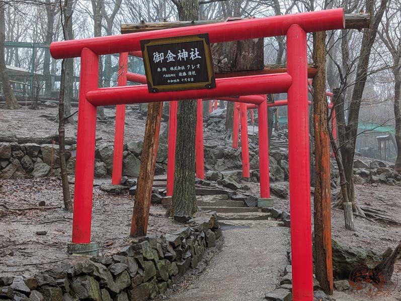 宮城藏王狐狸村