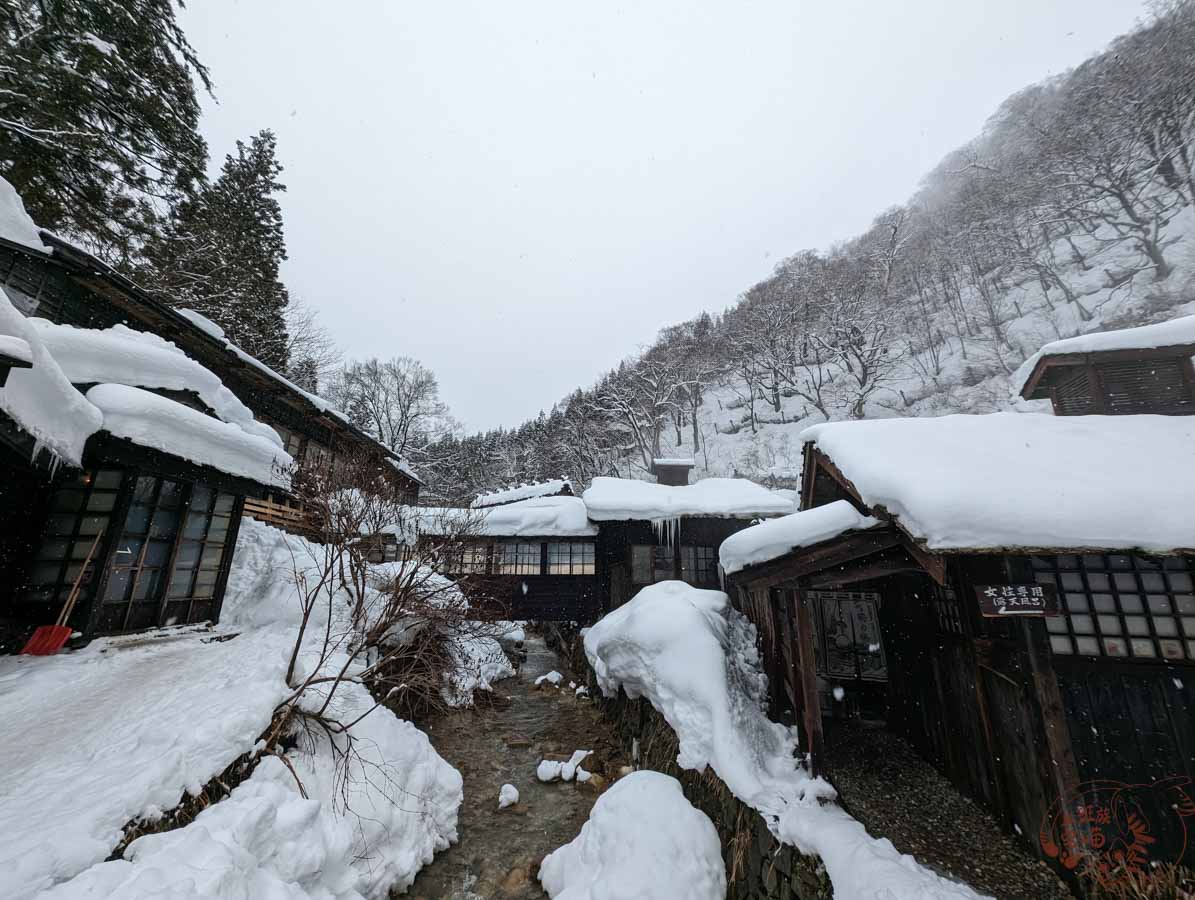 【乳頭溫泉鄉】鶴之湯溫泉｜眾所期待的日本混浴，落雪中的泡湯之旅