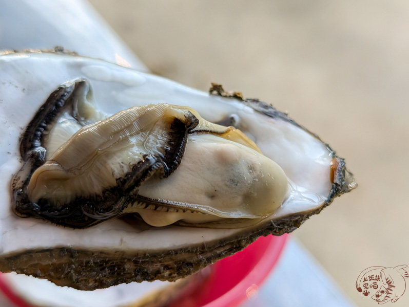 天邊海角鮮蚵吃到飽