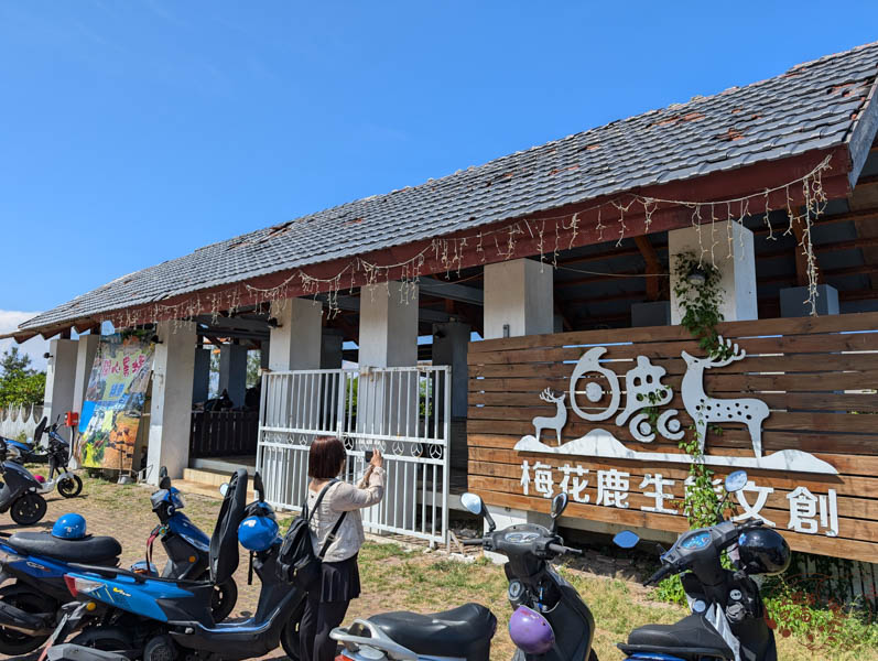 【綠島景點】綠島梅花鹿生態園區｜老少咸宜能親近動物的綠島景點