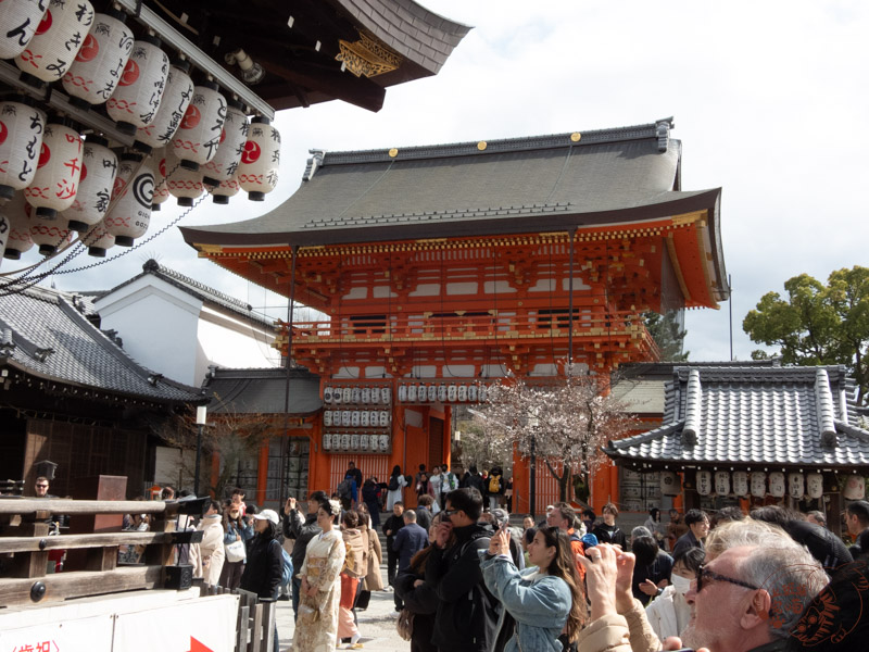 日本旅遊|京都春日秘境:八坂神社與円山公園的櫻花盛宴 6 日本旅遊|京都春日秘境:八坂神社與円山公園的櫻花盛宴