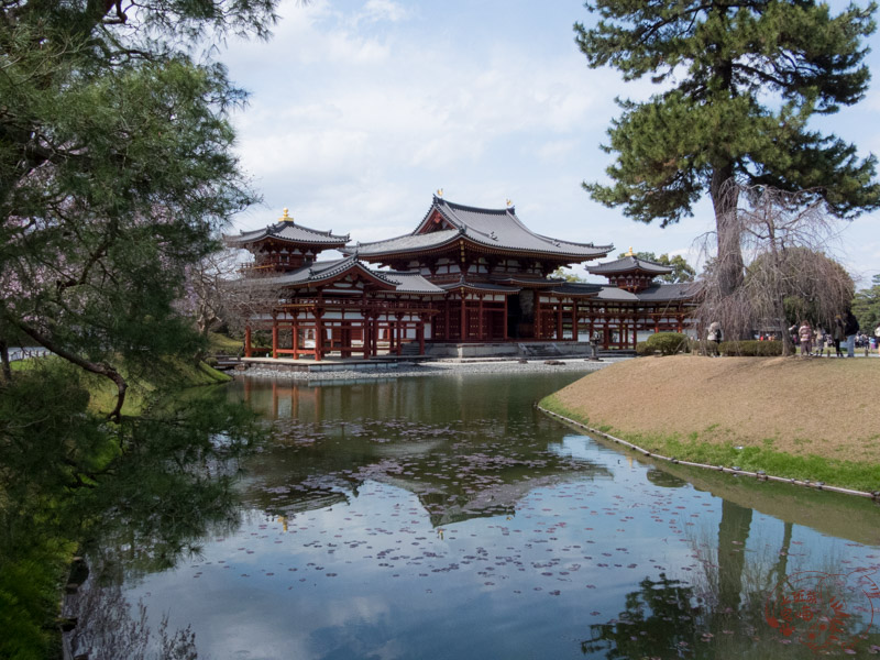 【日本】宇治平等院旅遊全攻略：交通、歷史與必拍美景，鳳凰堂千年佛像不可錯過