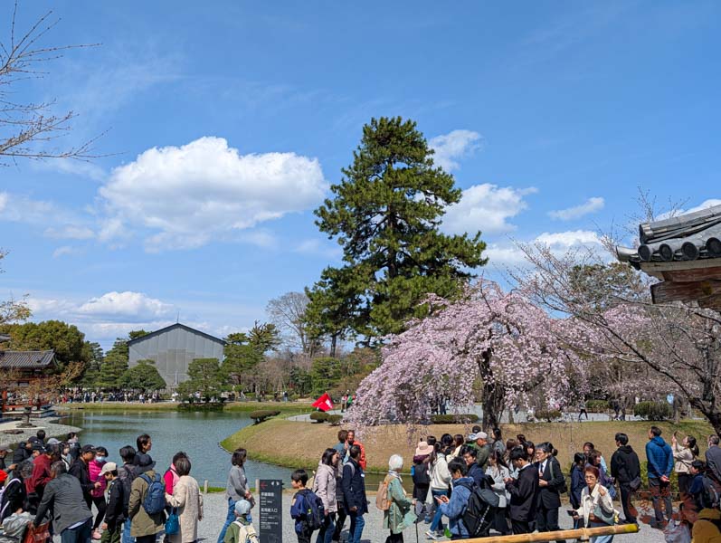 【日本】宇治平等院旅遊全攻略：交通、歷史與必拍美景，鳳凰堂千年佛像不可錯過