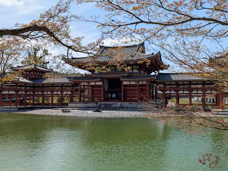 【日本】宇治平等院旅遊全攻略：交通、歷史與必拍美景，鳳凰堂千年佛像不可錯過