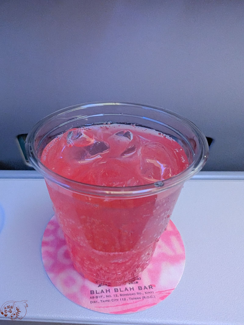 【航空開箱】華航歐洲線體驗|長途10幾小時航程,餐點與設備大公開 6 【航空開箱】華航歐洲線體驗|長途10幾小時航程,餐點與設備大公開
