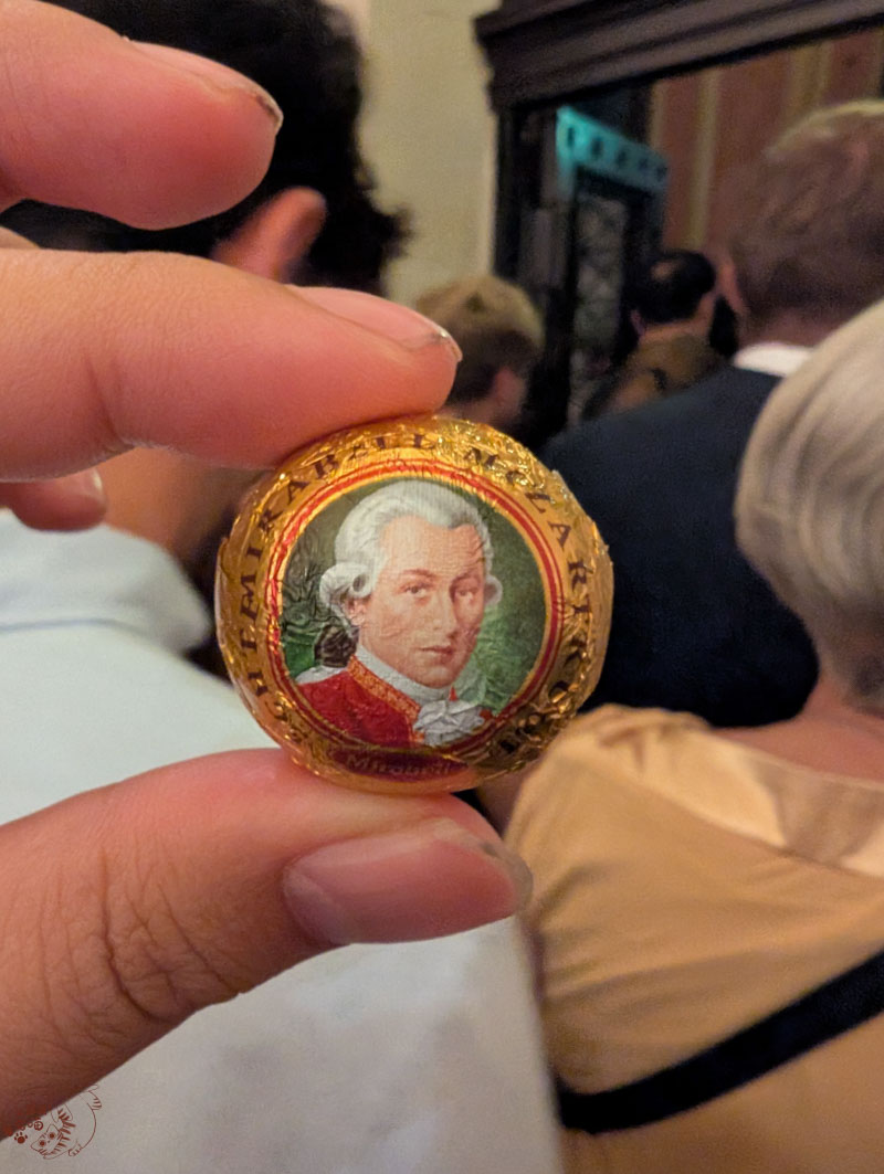 【維也納】金色大廳 Musikverein Wien攻略|門票價格、交通與聽音樂會心得分享 9 【維也納】金色大廳 Musikverein Wien攻略|門票價格、交通與聽音樂會心得分享