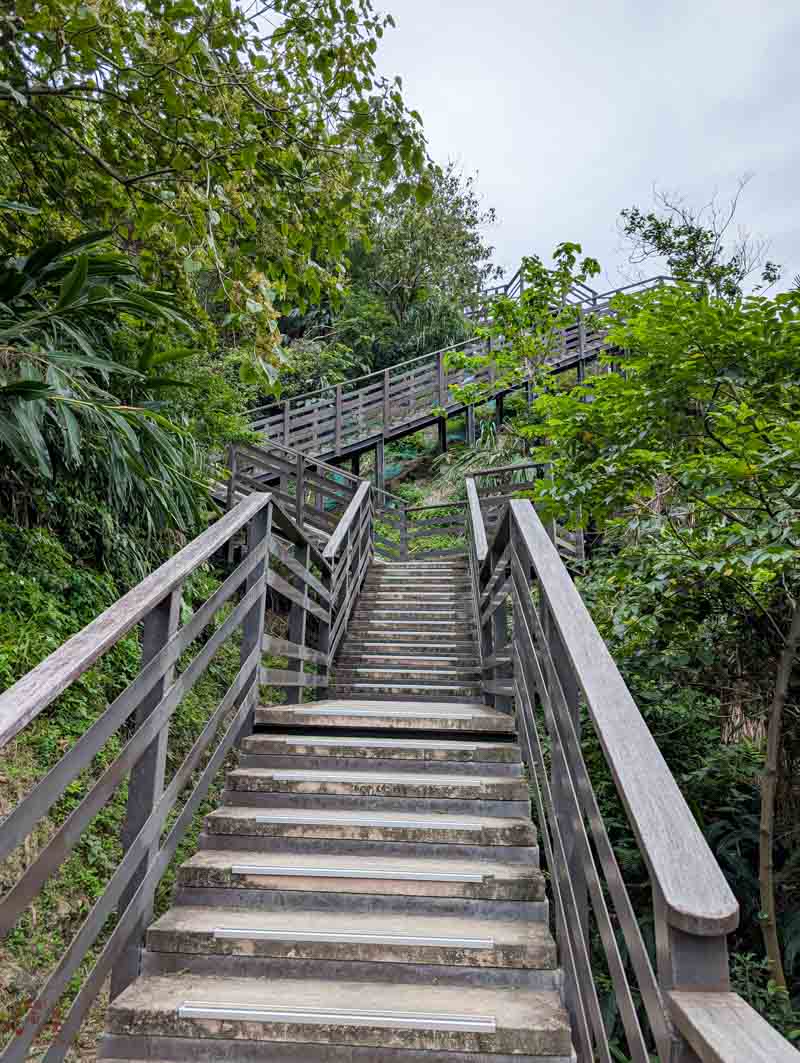 花蓮「大石鼻步道」攻略：15分鐘攻頂遠眺太平洋！停車、難度、交通懶人包