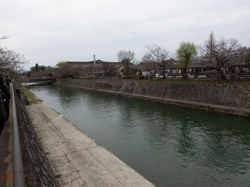 【京都賞櫻】岡崎疏水十石舟攻略：沒櫻花也值得搭嗎？線上預約與搶票心得