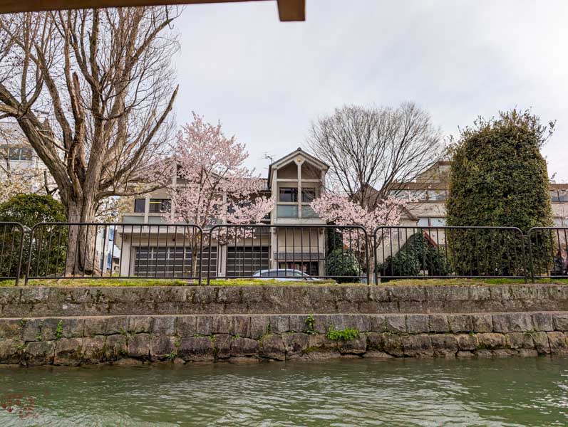 【京都賞櫻】岡崎疏水十石舟攻略：沒櫻花也值得搭嗎？線上預約與搶票心得