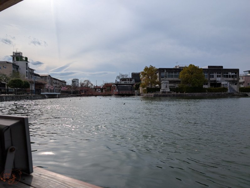 【京都賞櫻】岡崎疏水十石舟攻略：沒櫻花也值得搭嗎？線上預約與搶票心得