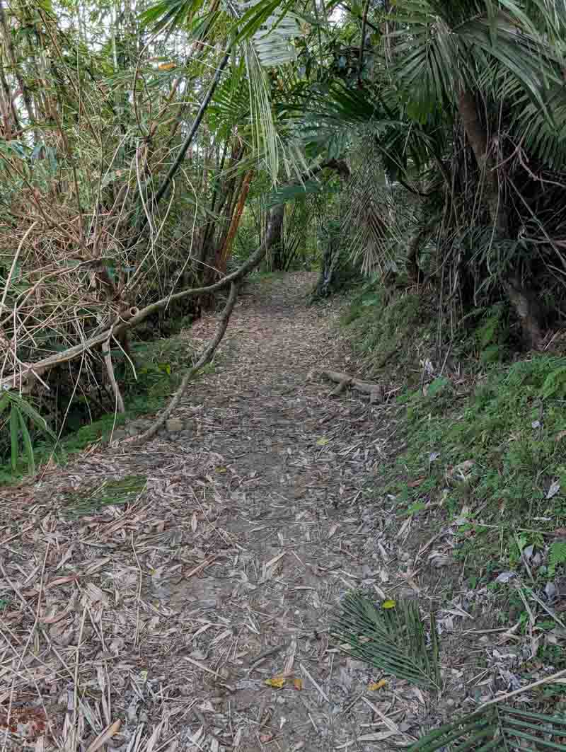 【花蓮步道】米棧古道｜走入193縣道上的「挑夫之路」！眺望花東縱谷絕美視野