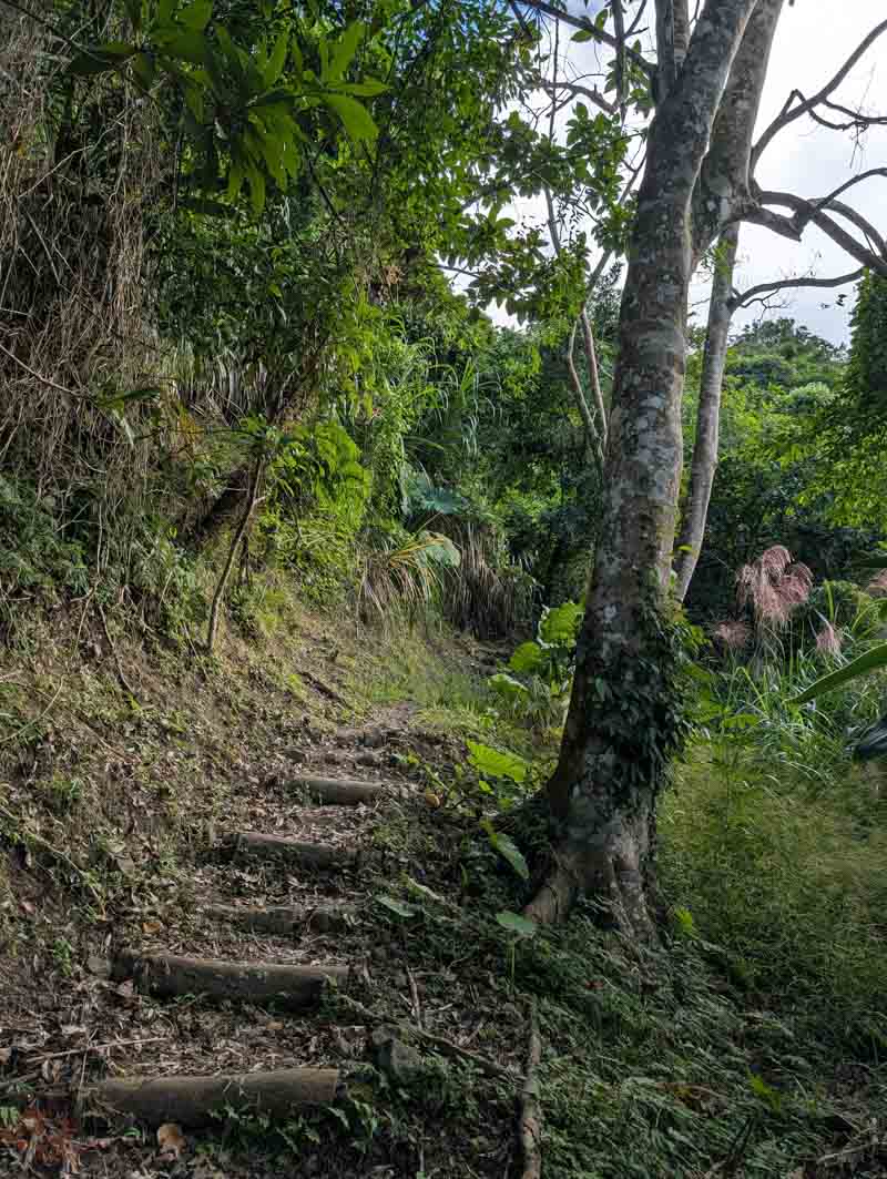 【花蓮步道】米棧古道｜走入193縣道上的「挑夫之路」！眺望花東縱谷絕美視野