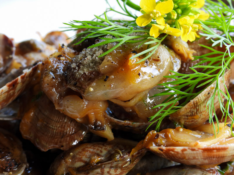 【花蓮豐濱美食】項鍊海岸工作室|不只月牙鞦韆!擁抱石梯坪無敵海景,必嚐原住民風味料理 9 【花蓮豐濱美食】項鍊海岸工作室|不只月牙鞦韆!擁抱石梯坪無敵海景,必嚐原住民風味料理