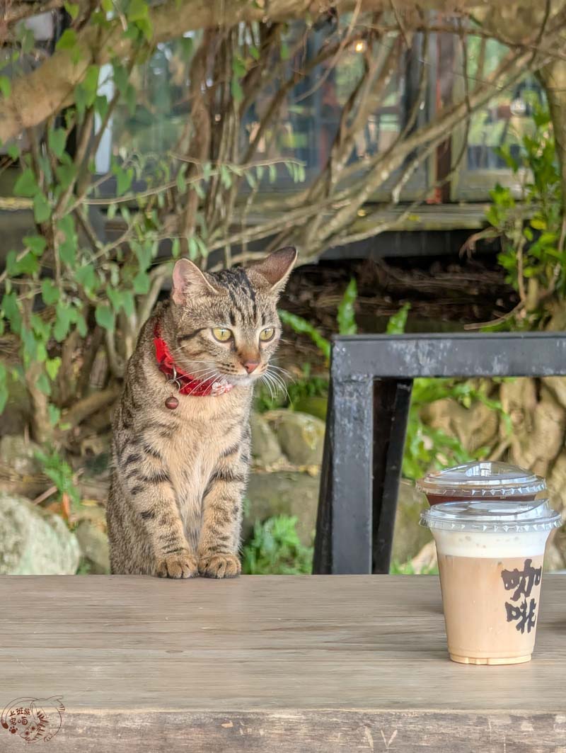 【花蓮豐濱美食】項鍊海岸工作室|不只月牙鞦韆!擁抱石梯坪無敵海景,必嚐原住民風味料理 6 【花蓮豐濱美食】項鍊海岸工作室|不只月牙鞦韆!擁抱石梯坪無敵海景,必嚐原住民風味料理
