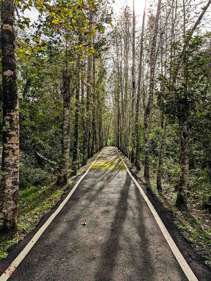 花蓮兩天一夜行程懶人包｜從縱谷玩到海線！串連瑞穗溫泉、大農大富與海景咖啡的療癒自駕遊