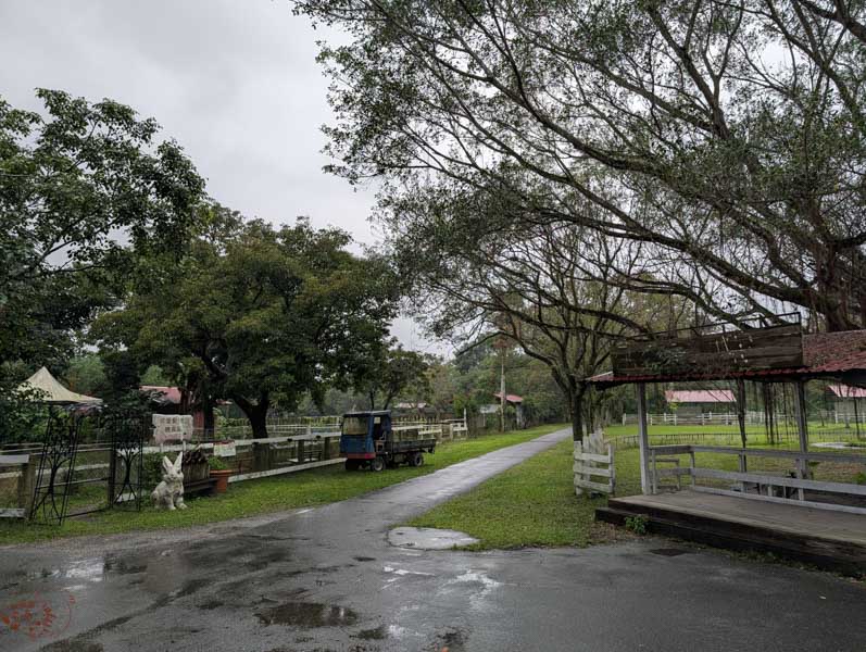 【花蓮景點】新光兆豐休閒農場好玩嗎？門票、交通、必逛區域總整理！來看樹懶、狐獴、乳牛等動物