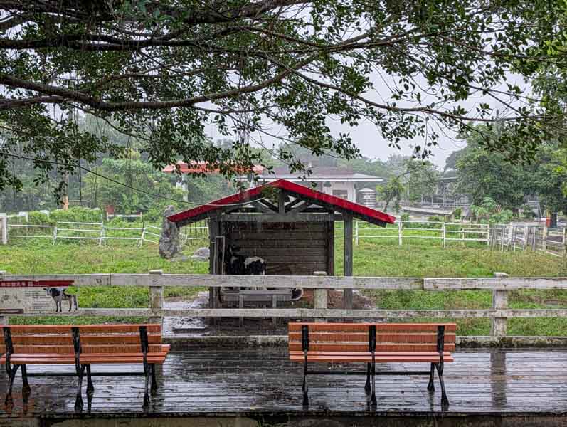 【花蓮景點】新光兆豐休閒農場好玩嗎？門票、交通、必逛區域總整理！來看樹懶、狐獴、乳牛等動物