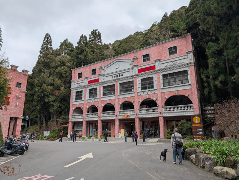 【南投景點】杉林溪冬季旅遊攻略|冬季繁多葉牡丹盛開中,探訪松瀧岩瀑布與森林之美 2 【南投景點】杉林溪冬季旅遊攻略|冬季繁多葉牡丹盛開中,探訪松瀧岩瀑布與森林之美