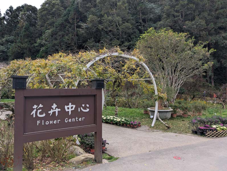 【南投景點】杉林溪冬季旅遊攻略|冬季繁多葉牡丹盛開中,探訪松瀧岩瀑布與森林之美 6 【南投景點】杉林溪冬季旅遊攻略|冬季繁多葉牡丹盛開中,探訪松瀧岩瀑布與森林之美