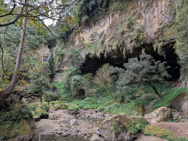 【南投景點】杉林溪冬季旅遊攻略|冬季繁多葉牡丹盛開中,探訪松瀧岩瀑布與森林之美 15 【南投景點】杉林溪冬季旅遊攻略|冬季繁多葉牡丹盛開中,探訪松瀧岩瀑布與森林之美