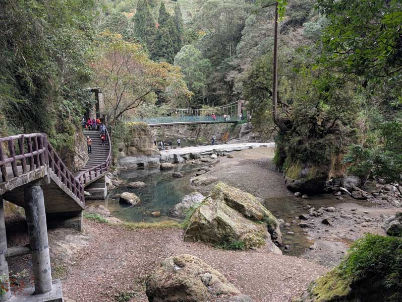 【南投景點】杉林溪冬季旅遊攻略|冬季繁多葉牡丹盛開中,探訪松瀧岩瀑布與森林之美 18 【南投景點】杉林溪冬季旅遊攻略|冬季繁多葉牡丹盛開中,探訪松瀧岩瀑布與森林之美