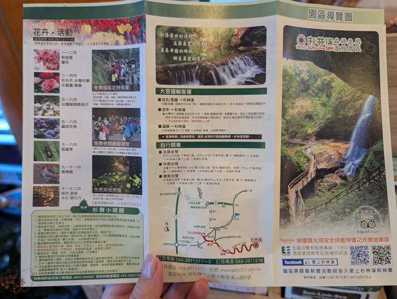 【南投杉林溪住宿】杉林溪森林生態渡假園區大飯店｜開箱懷舊風和式六人房，平價住進森林遊樂區