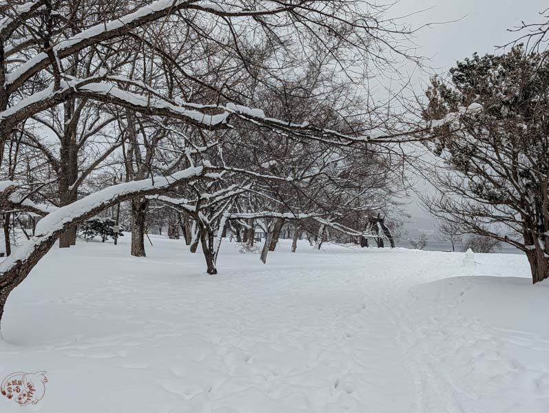 【北海道景點】浮見堂｜隱於湖畔的雙層古塔，免費且超美的洞爺湖景點