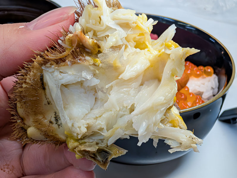 【小樽景點】南樽市場|現買現吃的北海道海鮮,毛蟹、海膽及生魚片實惠入口 9 【小樽景點】南樽市場|現買現吃的北海道海鮮,毛蟹、海膽及生魚片實惠入口