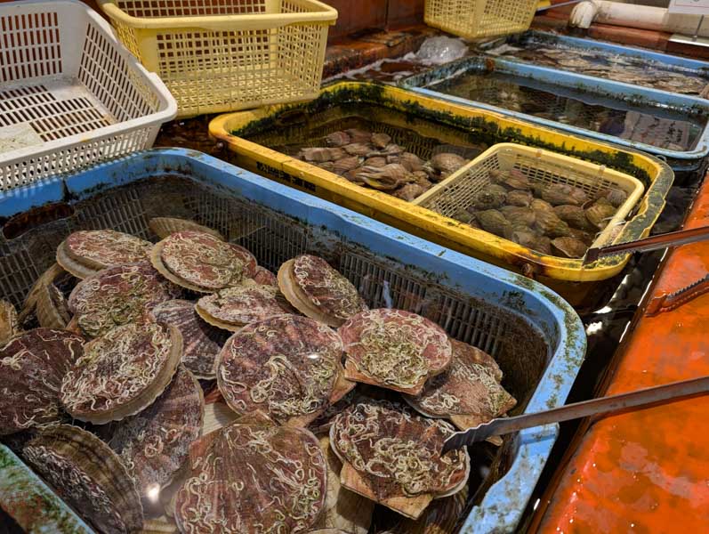 登別溫泉晚餐吃什麼？來「溫泉市場」吃鮮美海鮮丼與活跳烤物拔