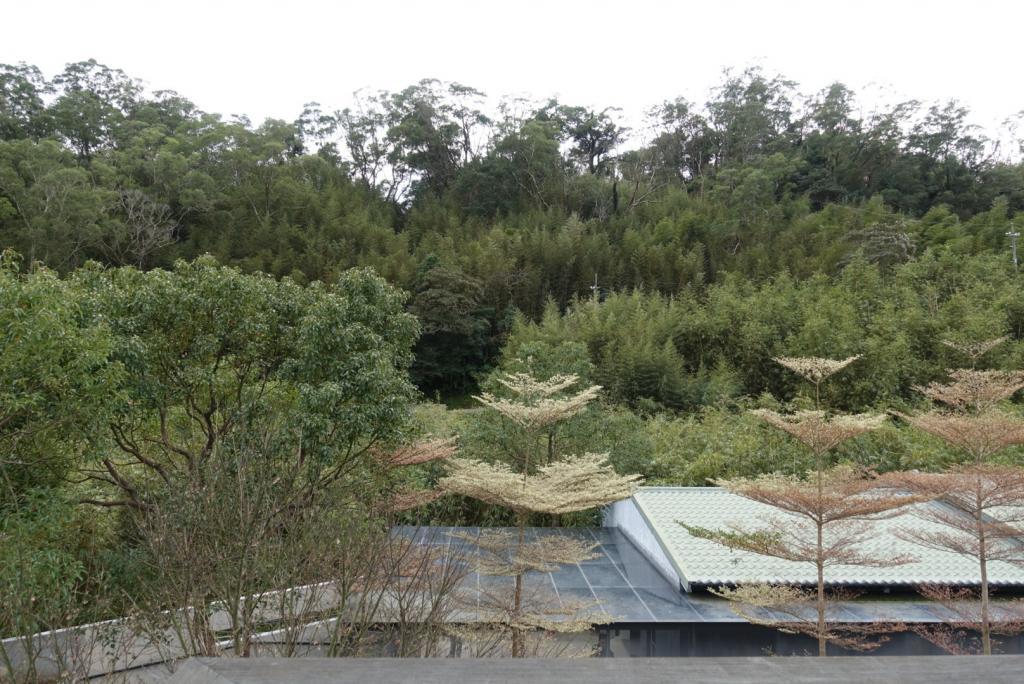 【桃園大溪】大溪老茶廠｜超好拍的工業風老茶廠，在茶香中體驗歲月遺存足跡