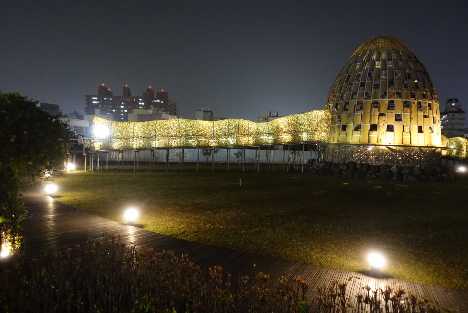 【嘉義市區】森林之歌｜超美的浪漫夜景，猶如閃閃發亮的森林通道