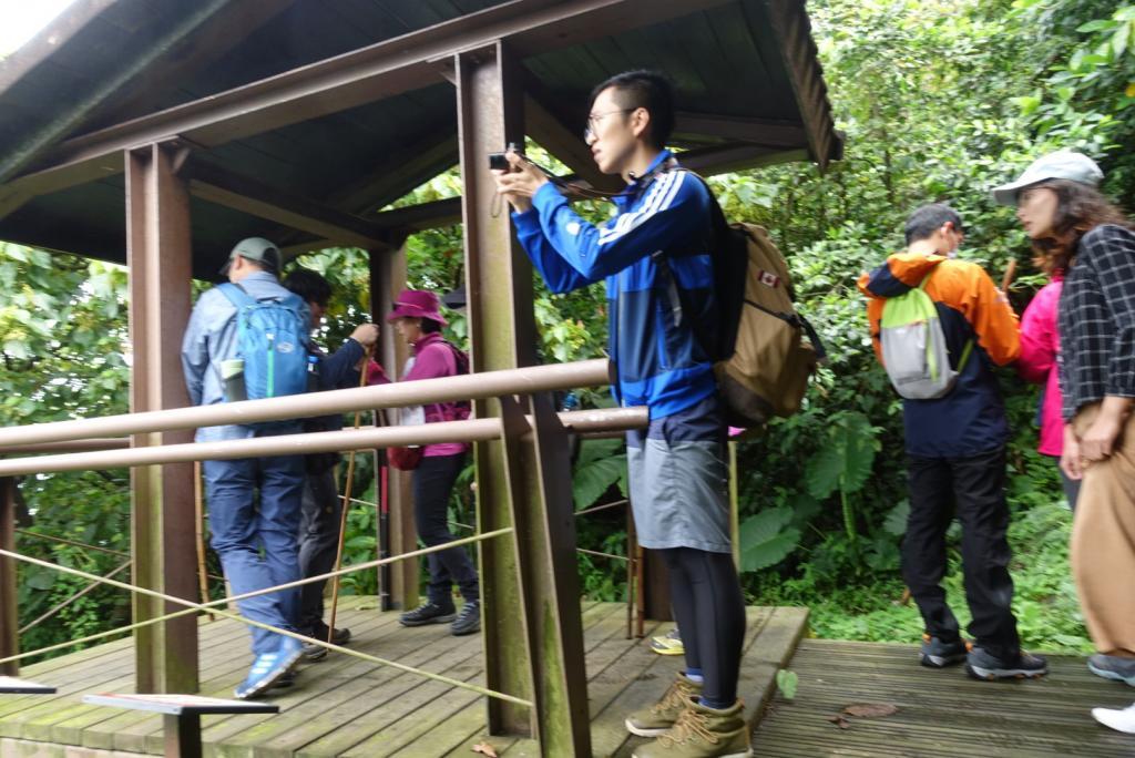 【宜蘭頭城】龜山島一日遊｜一覽龜山八景與攻略龜山島高峰401高地，享受神祕的龜山島風光