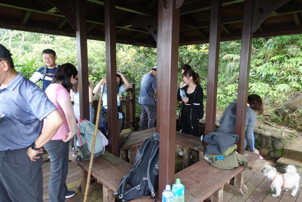 【宜蘭頭城】龜山島一日遊｜一覽龜山八景與攻略龜山島高峰401高地，享受神祕的龜山島風光