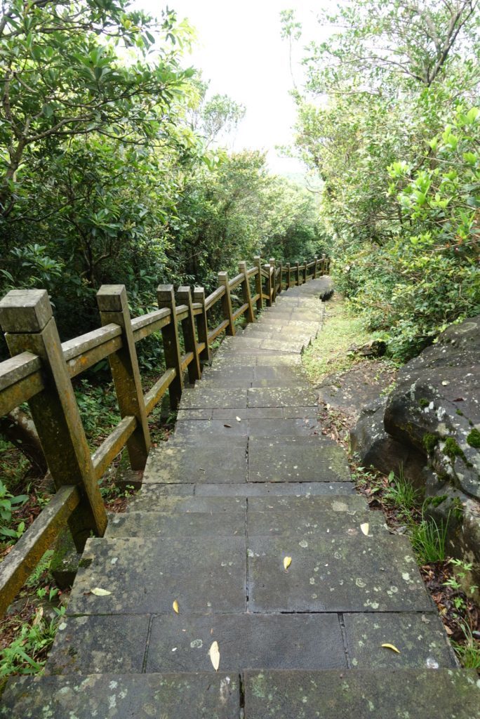 【宜蘭頭城】龜山島一日遊｜一覽龜山八景與攻略龜山島高峰401高地，享受神祕的龜山島風光