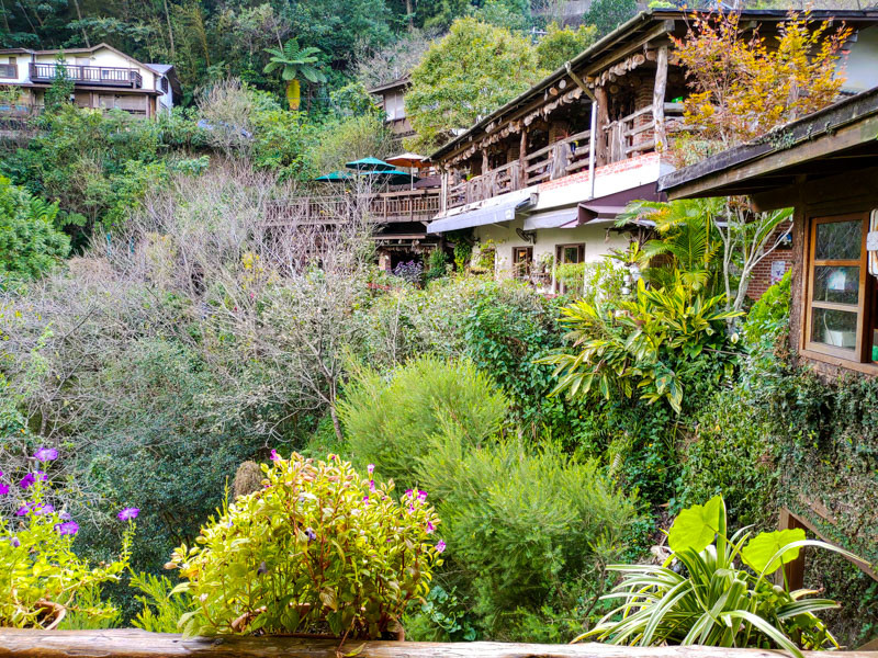 【苗栗南庄】山行玫瑰｜融入山水間的瑰麗景觀餐廳，如詩如畫的林中仙境令人沉醉