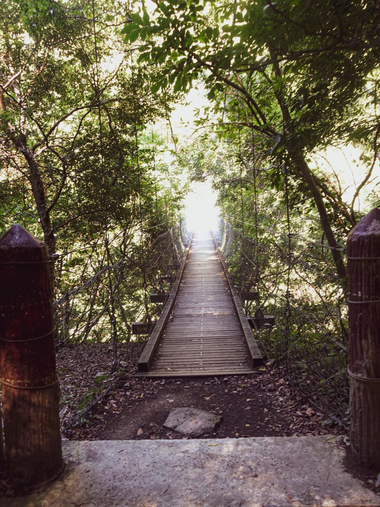 錐麓古道