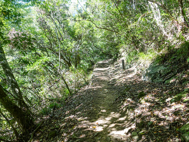 【花蓮秀林】錐麓古道｜眺望壯麗山巒與深邃縱谷，走入自然祕境與山林共景