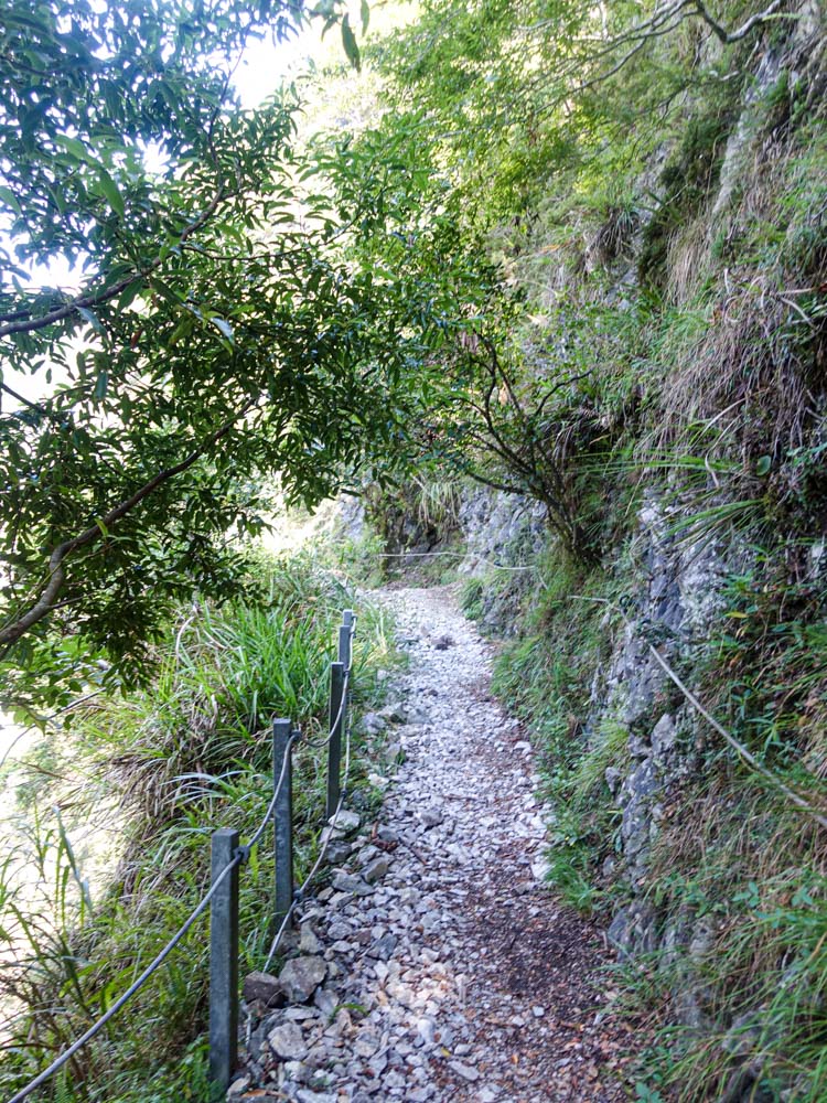 【花蓮秀林】錐麓古道｜眺望壯麗山巒與深邃縱谷，走入自然祕境與山林共景