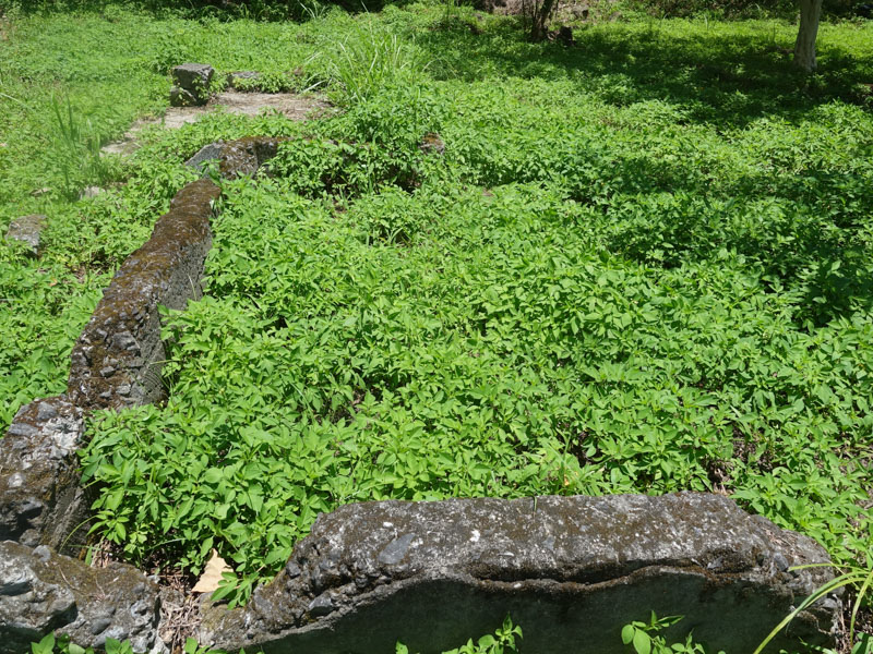 【花蓮秀林】錐麓古道｜眺望壯麗山巒與深邃縱谷，走入自然祕境與山林共景