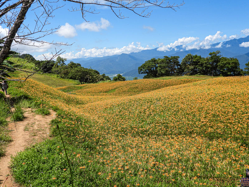 赤柯山