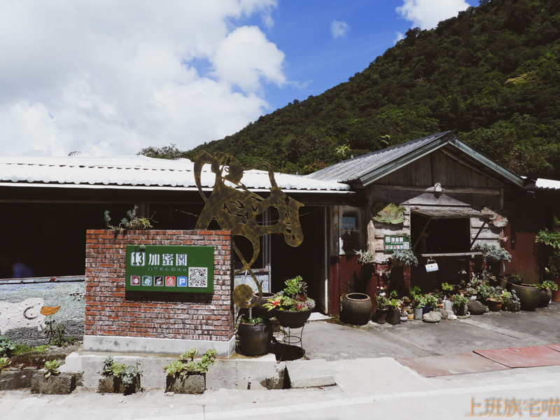 【花蓮玉里】赤科山一日遊｜一覽金黃璀璨金針花海，七大必訪美景大公開