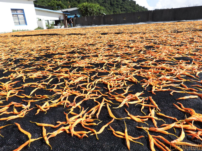 赤科山一日遊