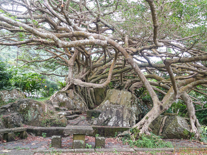 【宜蘭頭城】北關海潮公園｜清朝時期古關隘，可觀單面山、豆腐岩等奇觀｜免費海景