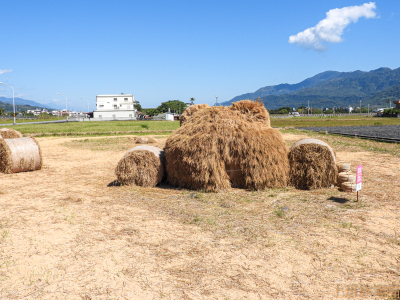 【花蓮玉里】2021客城稻草藝術季｜客城鐵橋旁超卡哇伊稻草熊，親子同遊一賞向日葵花海｜玉里最新爆紅景點｜年節景點