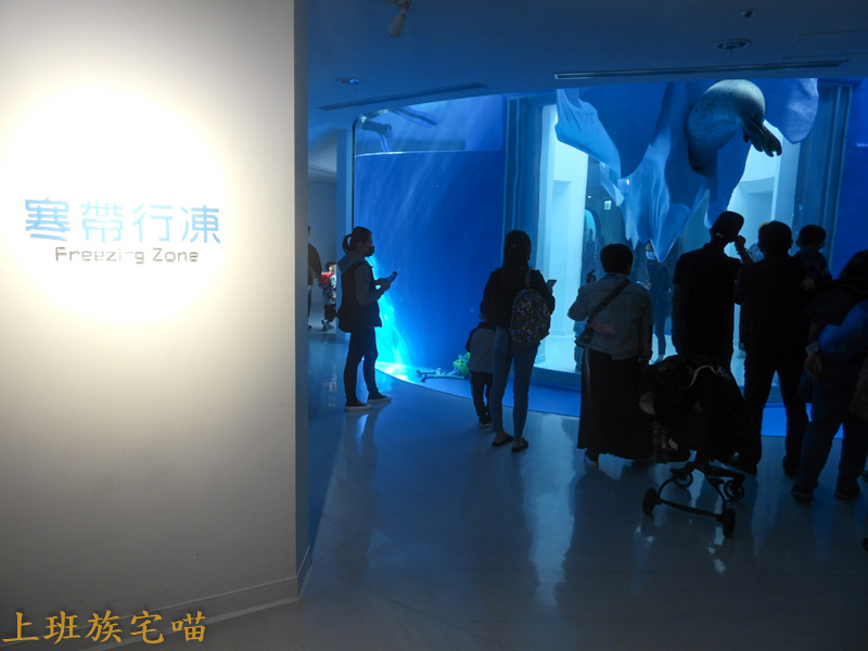 【桃園景點】Xpark水族館｜都市叢林中的美豔展館，企鵝、海豹、魚兒都盡情觀賞