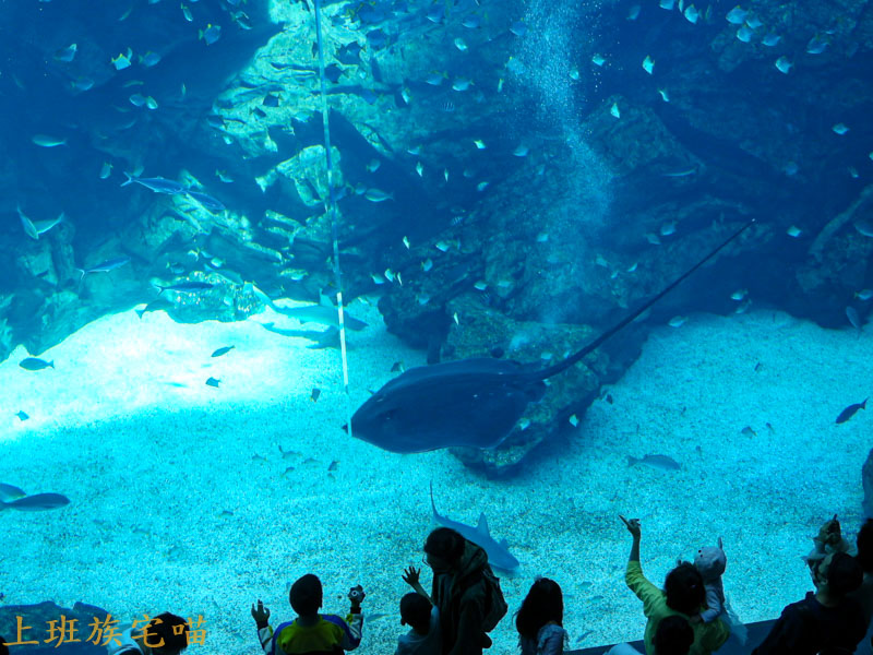 Xpark水族館