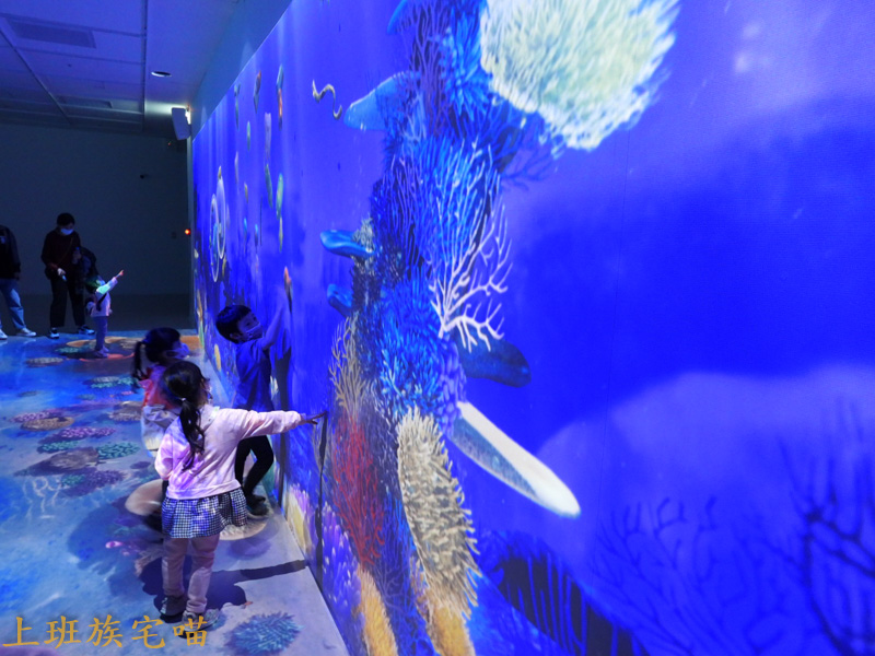 【桃園景點】Xpark水族館｜都市叢林中的美豔展館，企鵝、海豹、魚兒都盡情觀賞