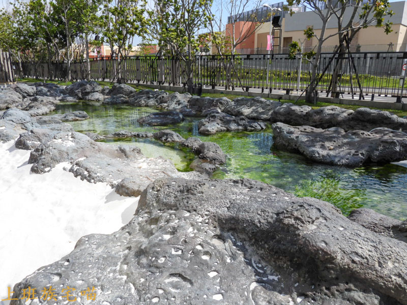 【桃園景點】Xpark水族館｜都市叢林中的美豔展館，企鵝、海豹、魚兒都盡情觀賞